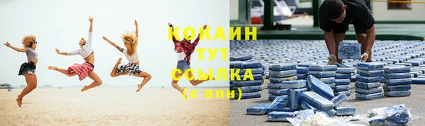 стаф Волоколамск