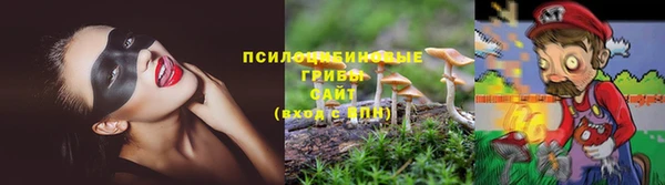 стаф Волоколамск