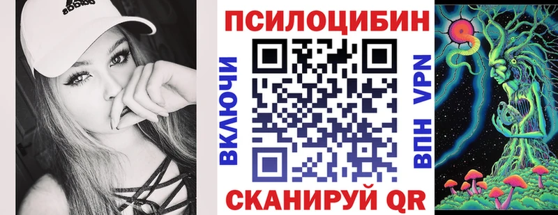 Псилоцибиновые грибы Psilocybe  где купить наркотик  Дудинка 
